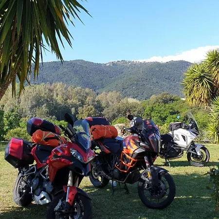 House Angeli Prunelli-di-Fiumorbo