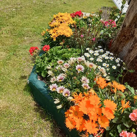 House Angeli Holiday home *