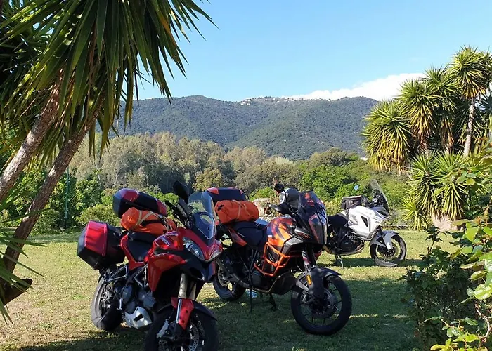 House Angeli Prunelli-di-Fiumorbo