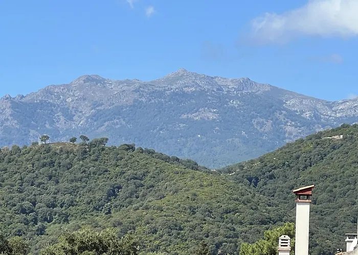 House Angeli بيت للعطل