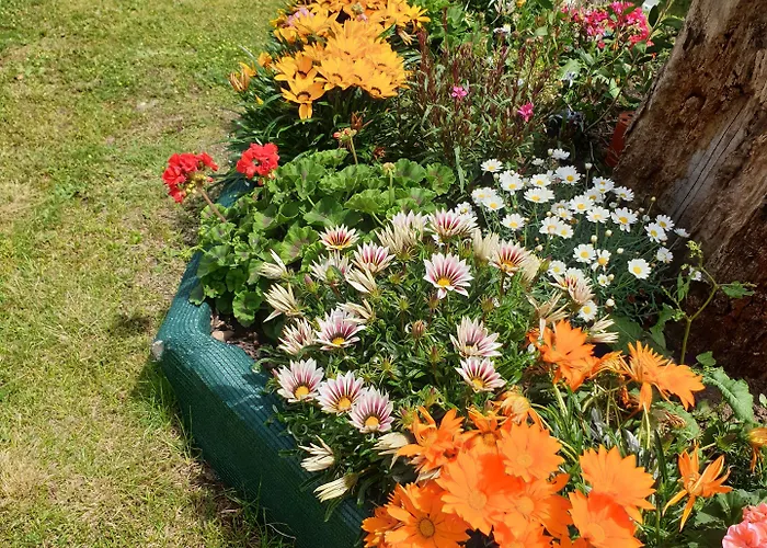 House Angeli Prázdninový dům *